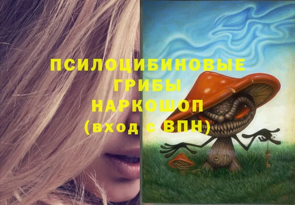 экстази Белокуриха
