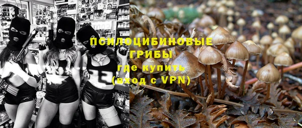 экстази Белокуриха