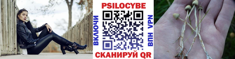 что такое   Урень  OMG зеркало  Галлюциногенные грибы прущие грибы 